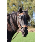 Diego Western Sidepull Bitless Bridle & Reins